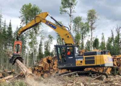 XE300UF forestry excavator